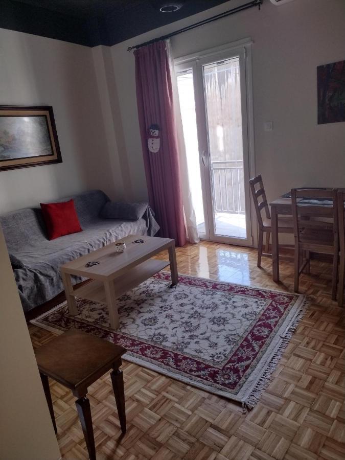 City Center Apartment Ioannina Eksteriør billede